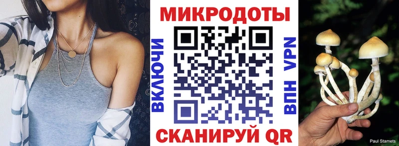 Галлюциногенные грибы Psilocybe  Кинешма 